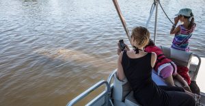 See-Manatees with Capt Duane Homosassa FL