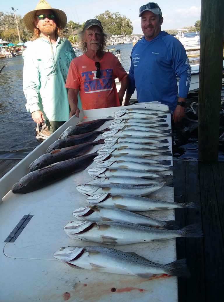 florida half day full day fishing trips