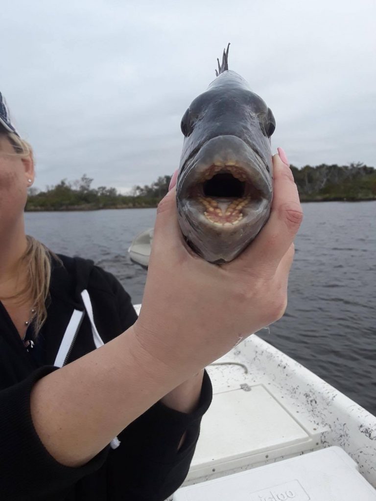 fishing in homosassa fl