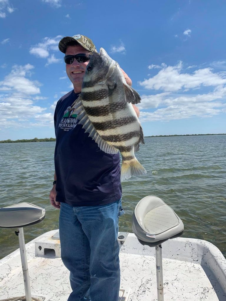 Caught a sheepshead